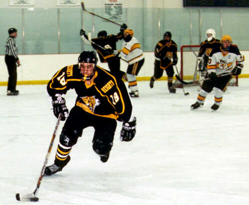 Mike Ruflin carries the puck out of the Tigers' zone.