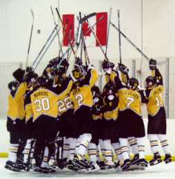 The Tigers jump during a legal team cheer